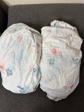 Pottery Barn Kids Celeste Fairy Organic Cotton Twin Fitted Sheets Set of 2
